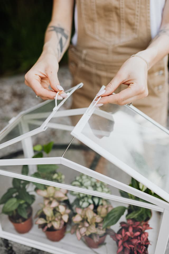 Home & Garden